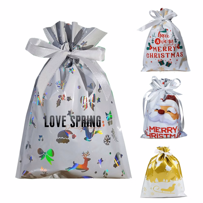 Christmas Gift Bags Assorted Size