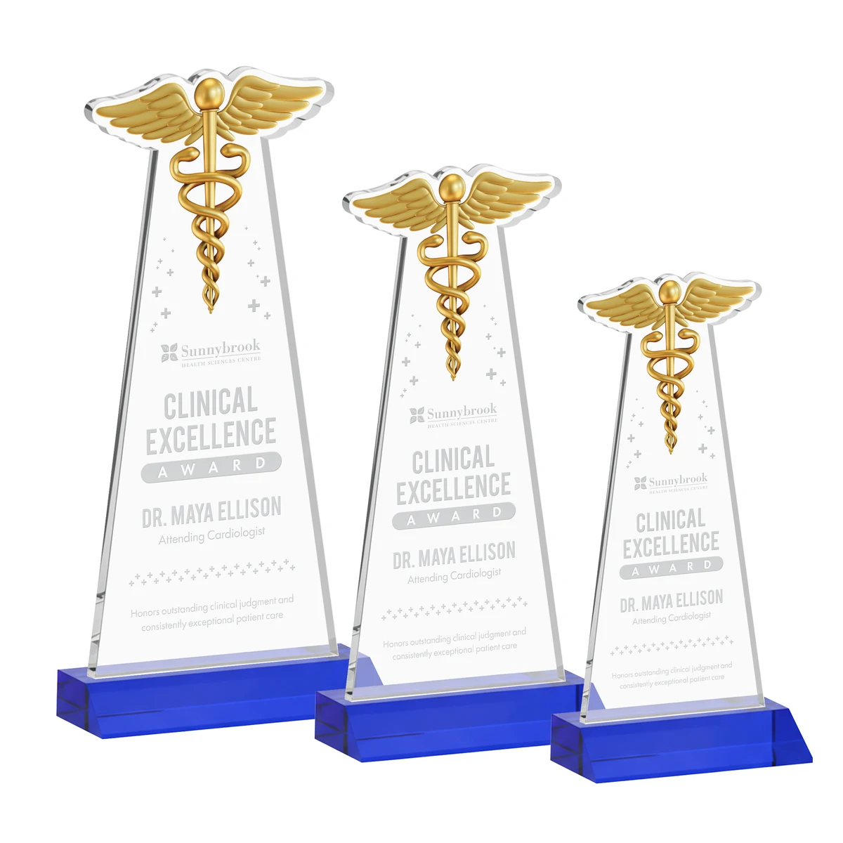 Caduceus Award - Blue 1