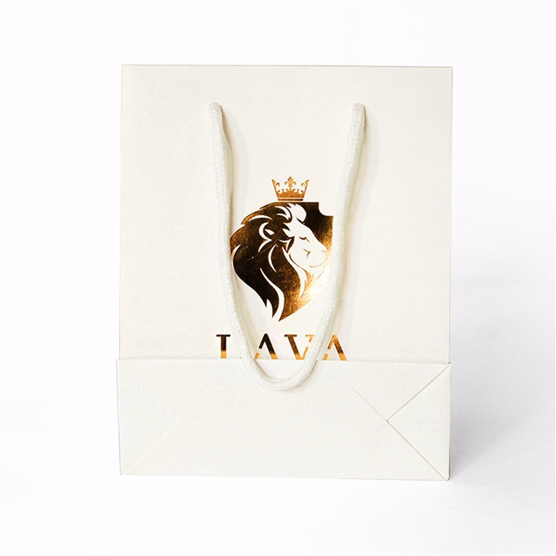 210g C1S paper bag with foil imprint on all sides (10*13*5")