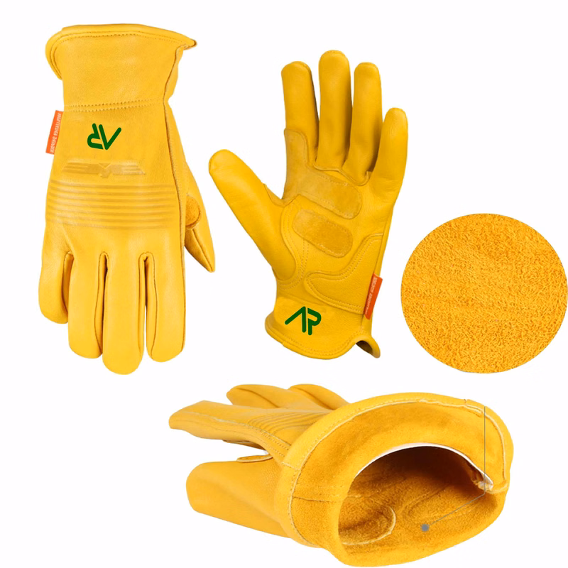 Glove