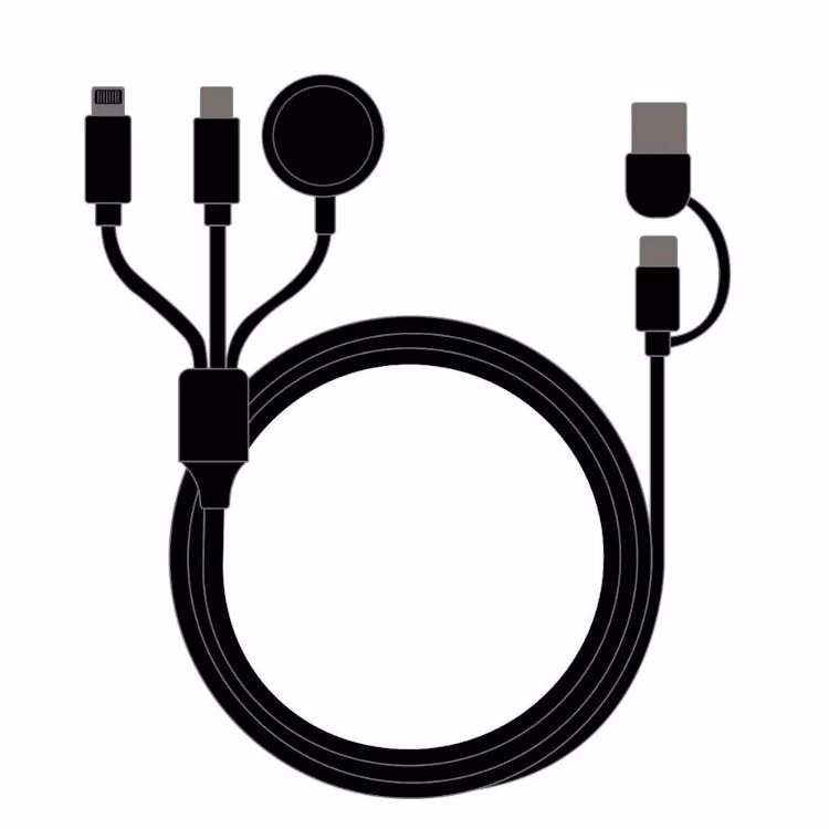 6-in-1 Charger - 4 ft Black