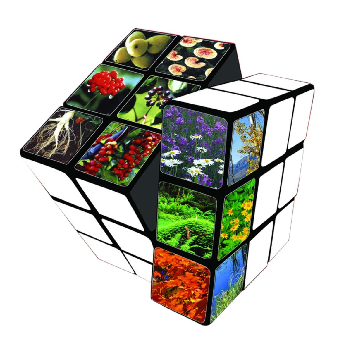 Puzzle Cubes 1