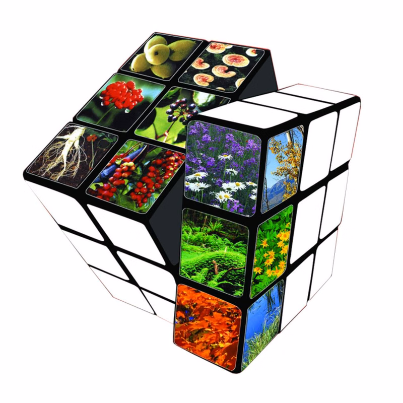 Puzzle Cubes