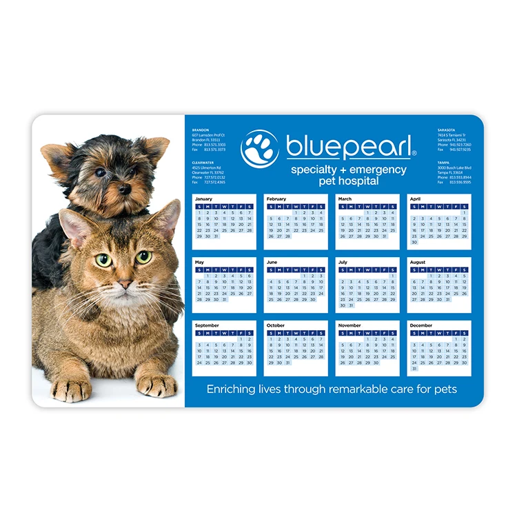 Thins Repositionable Counter Mat w/Matte Plus Surface (11"x17"x.02") 1