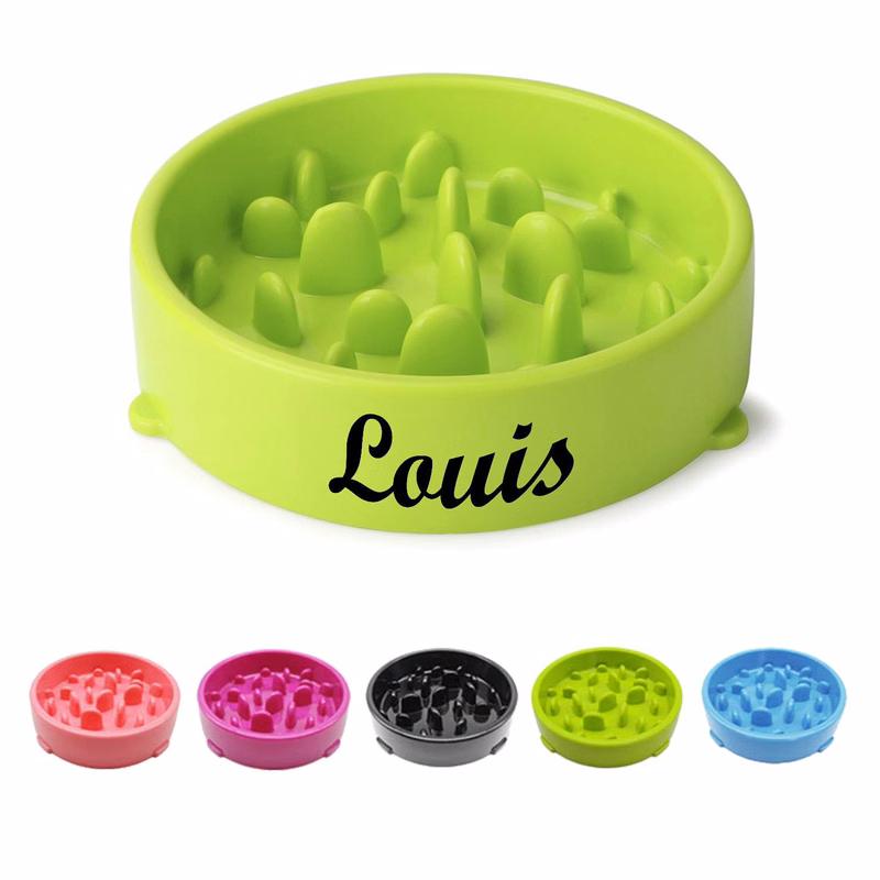 ABS Pet Non-Slip Slow Feeder Interactive Bowl