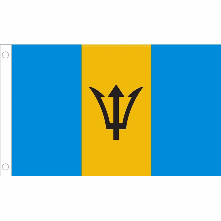 Barbados Flag - 2' x 3' - Nylon
