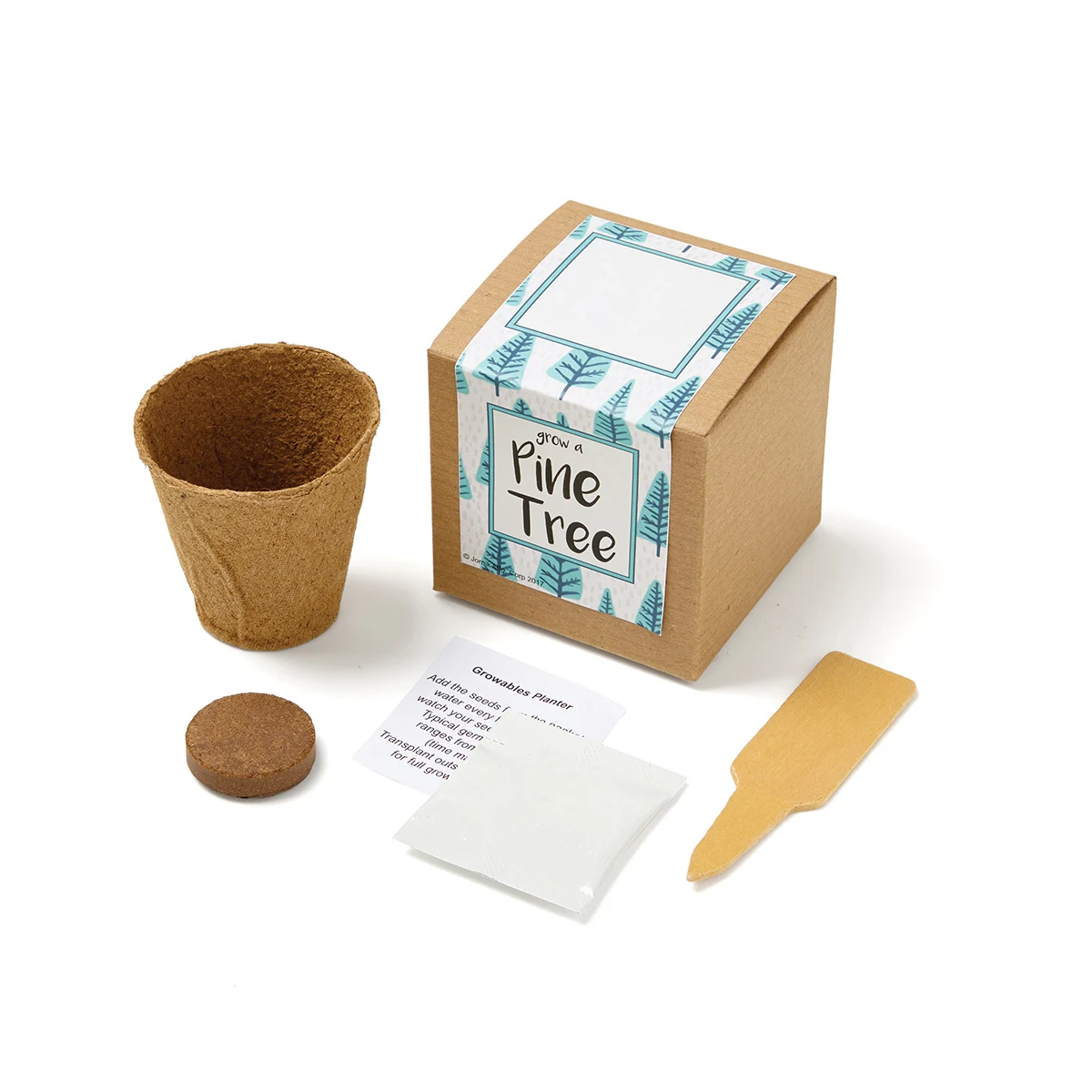 Pine Tree Growables Planter in Kraft Gift Box 1