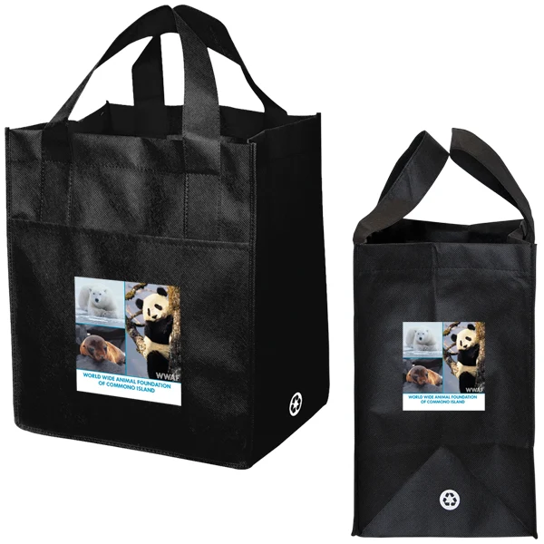 Non Woven Carry All Bag 1