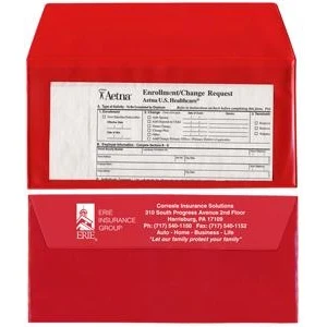Document Case with Clear Front 1