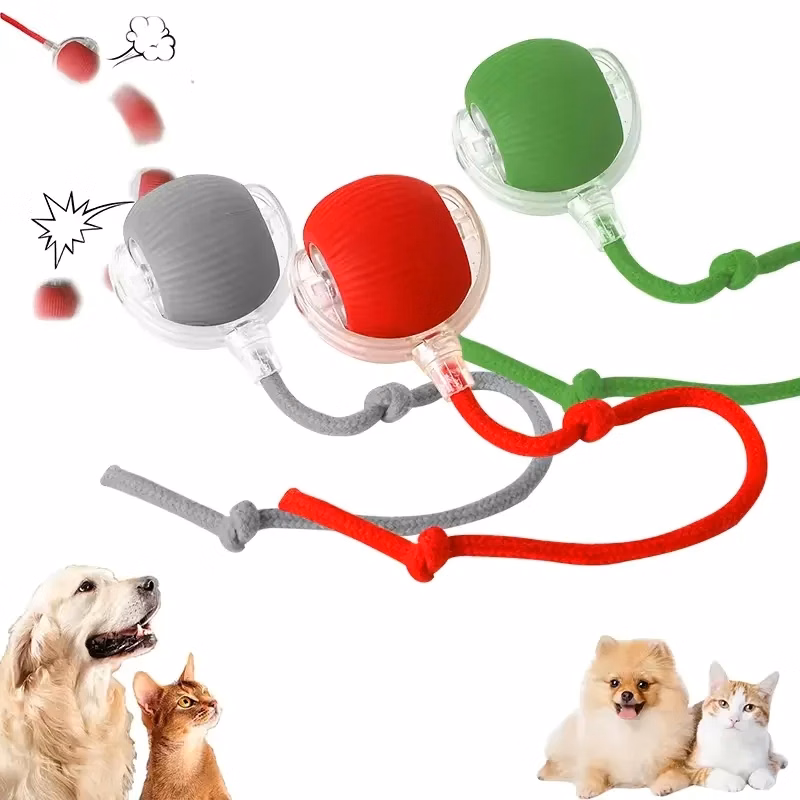 Rechargeable Pet Smart Chase Ball