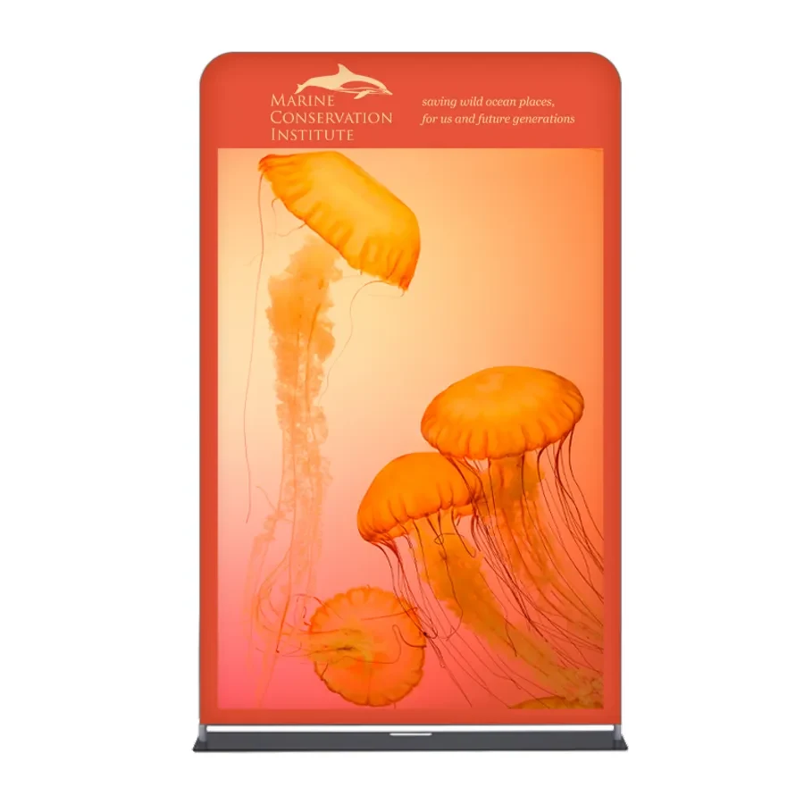 Effortless Xtend Displays 1