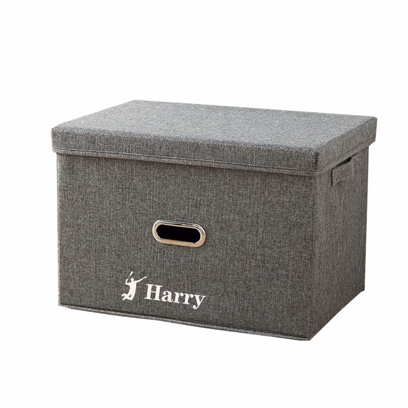 Foldable Storage Boxes with Lids