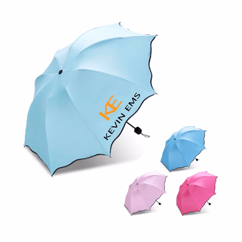A Clear Umbrella Blooms in the Water