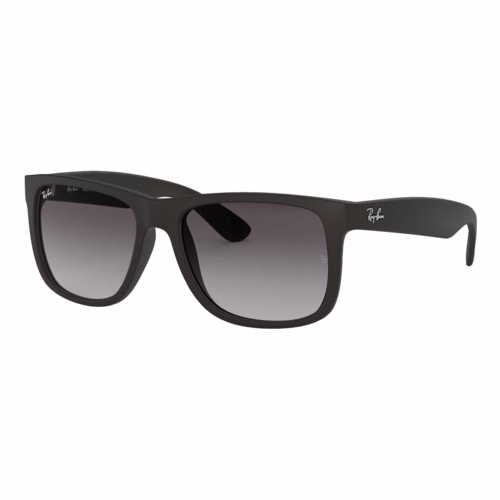 Ray-Ban Justin Sunglasses