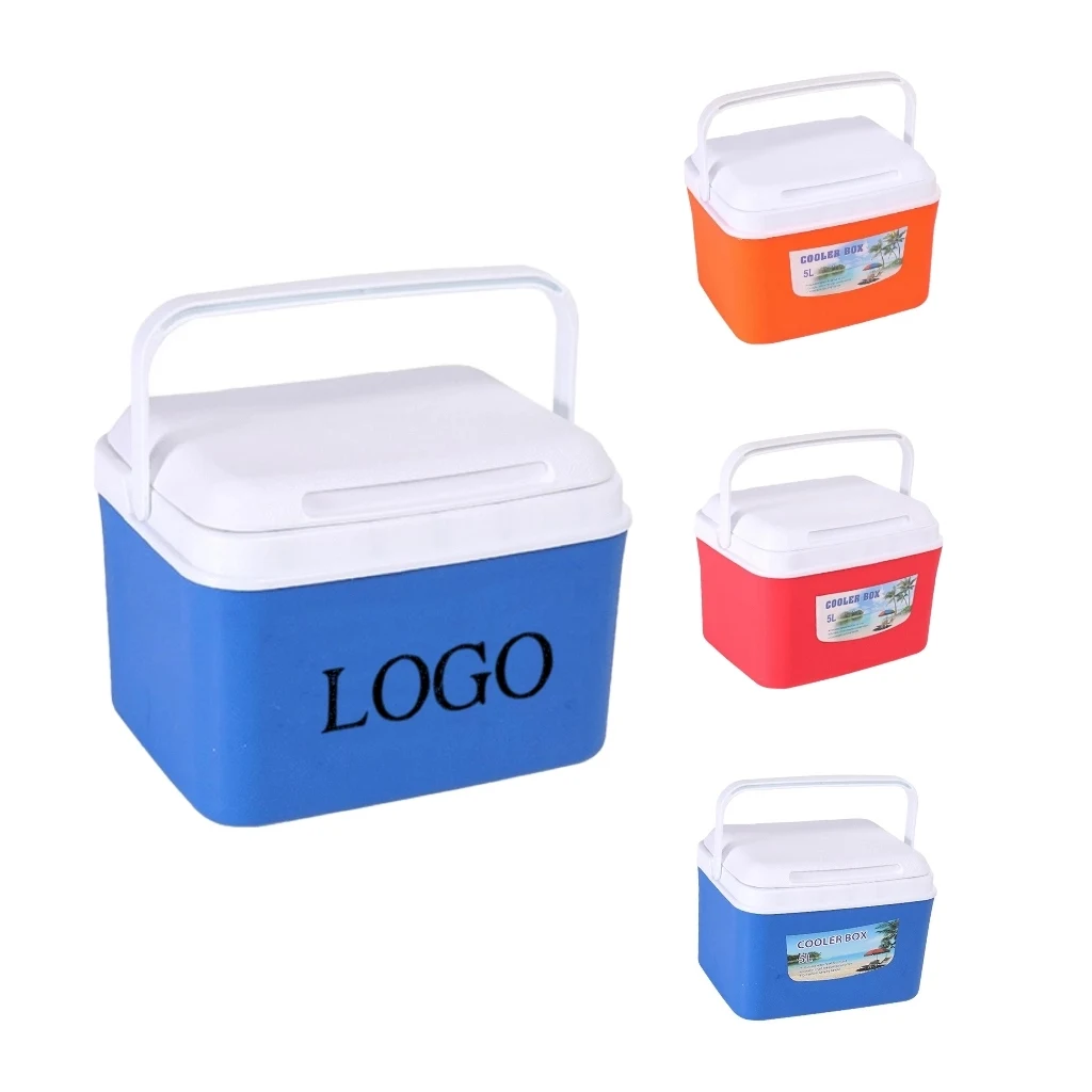 Portable Thermoelectric Cooler Mini Fridge 1