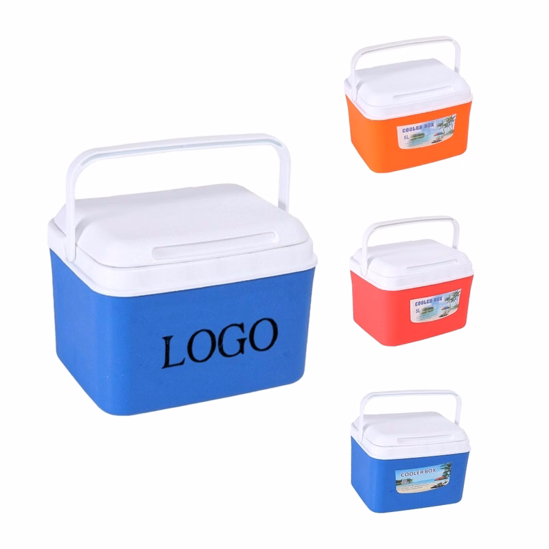 Portable Thermoelectric Cooler Mini Fridge