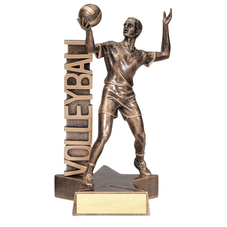 6 1/2" Tall Volleyball Male Billboard Resin Award 1
