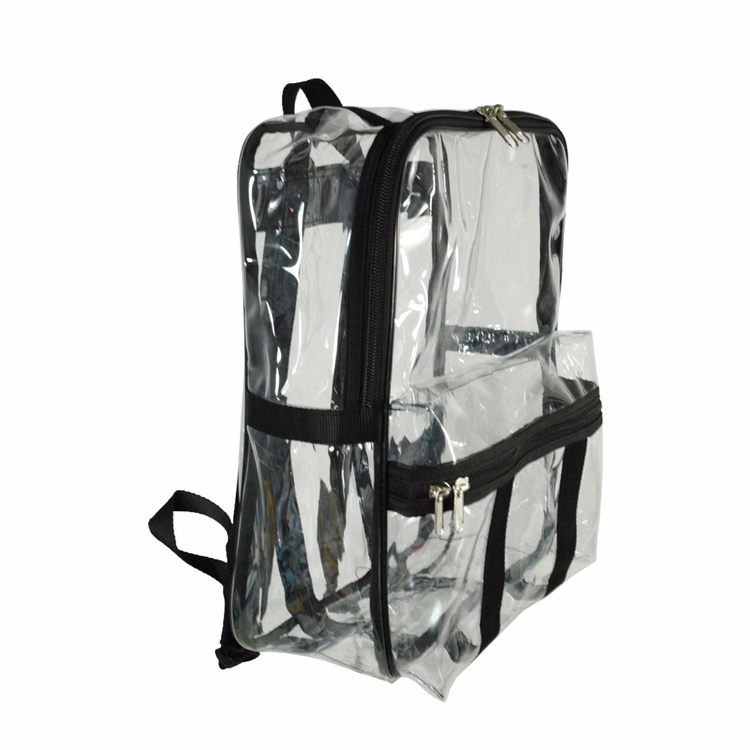The College Clear Backpack