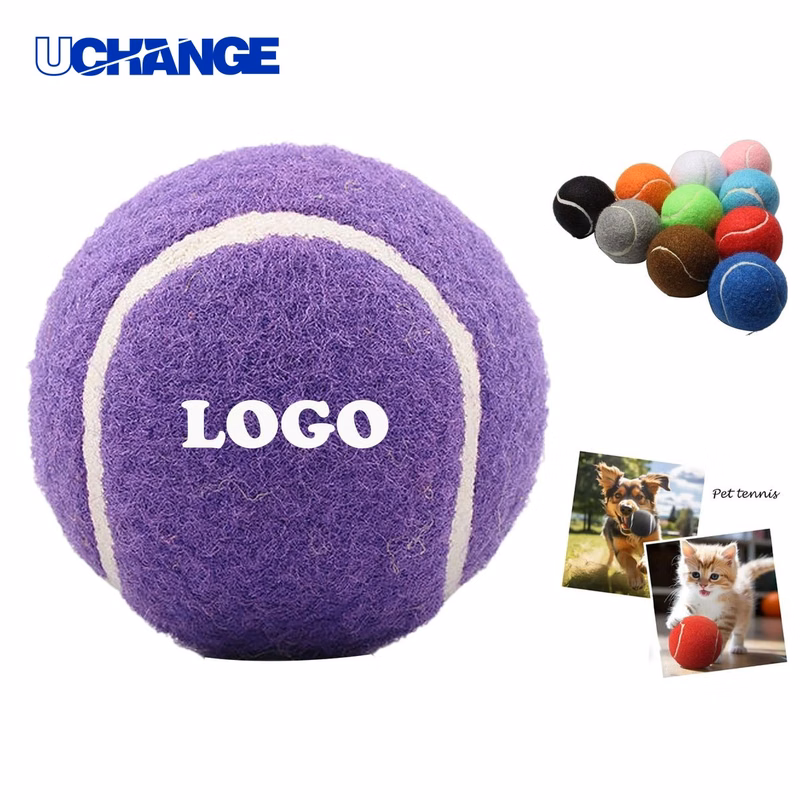 Rubber Dog Toy for Chewing and Interactive Play
