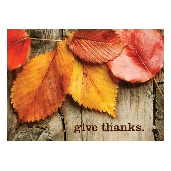 Give Thanks Thanksgiving Card 1