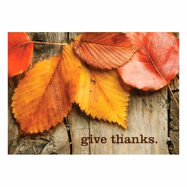 Give Thanks Thanksgiving Card