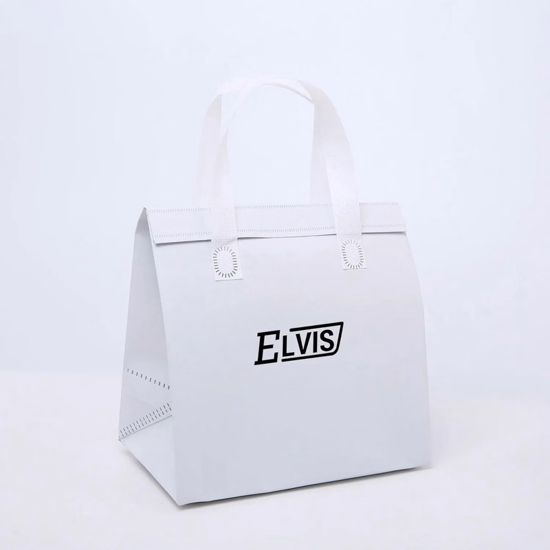 Disposable Aluminum Foil Insulated Bag