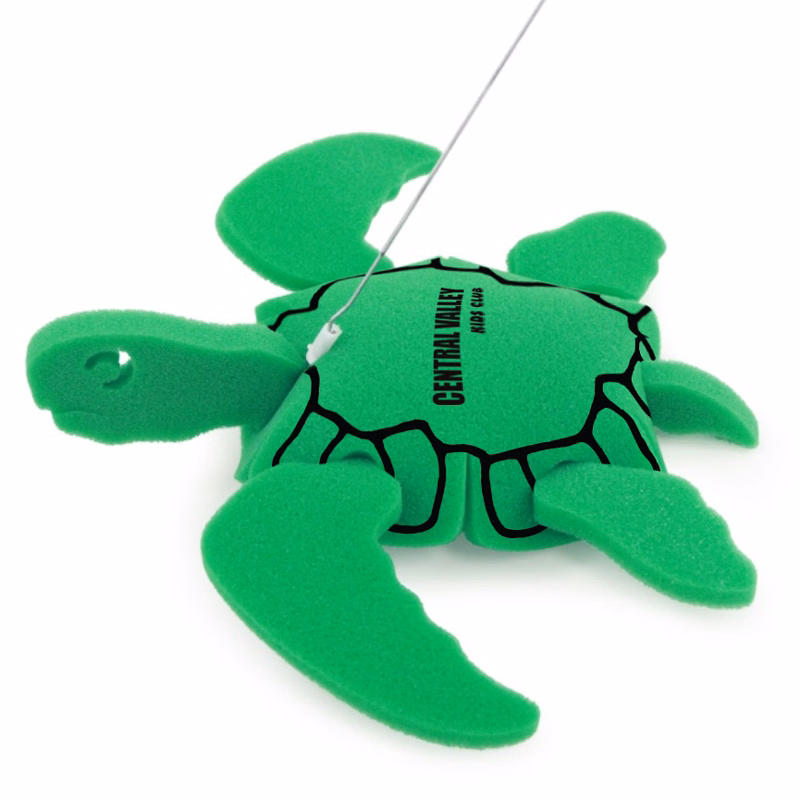 Turtle on a leash