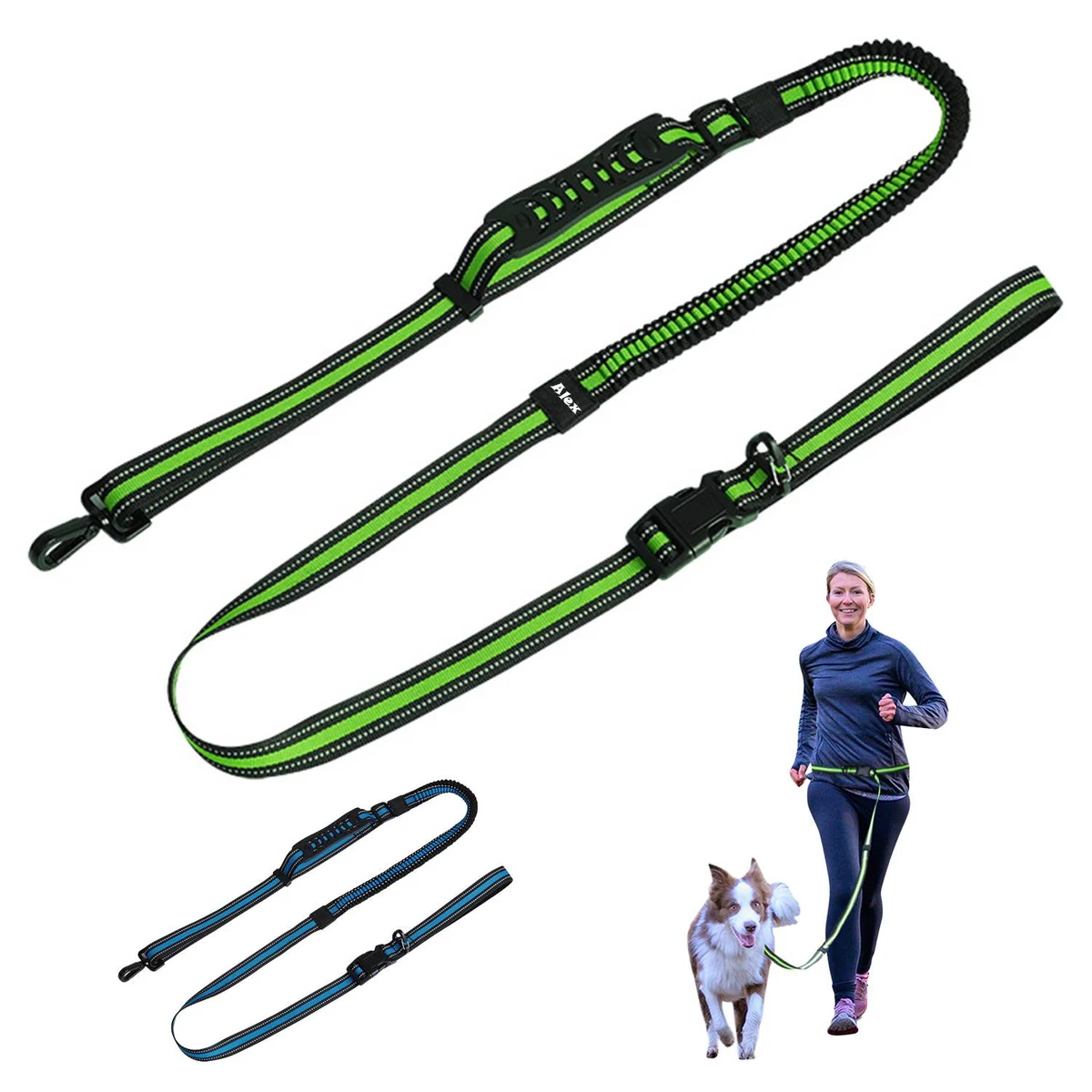Pet leashes 1