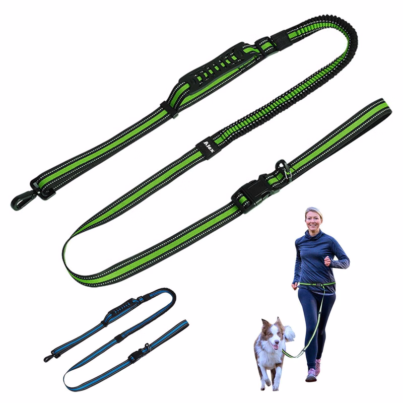 Pet leashes
