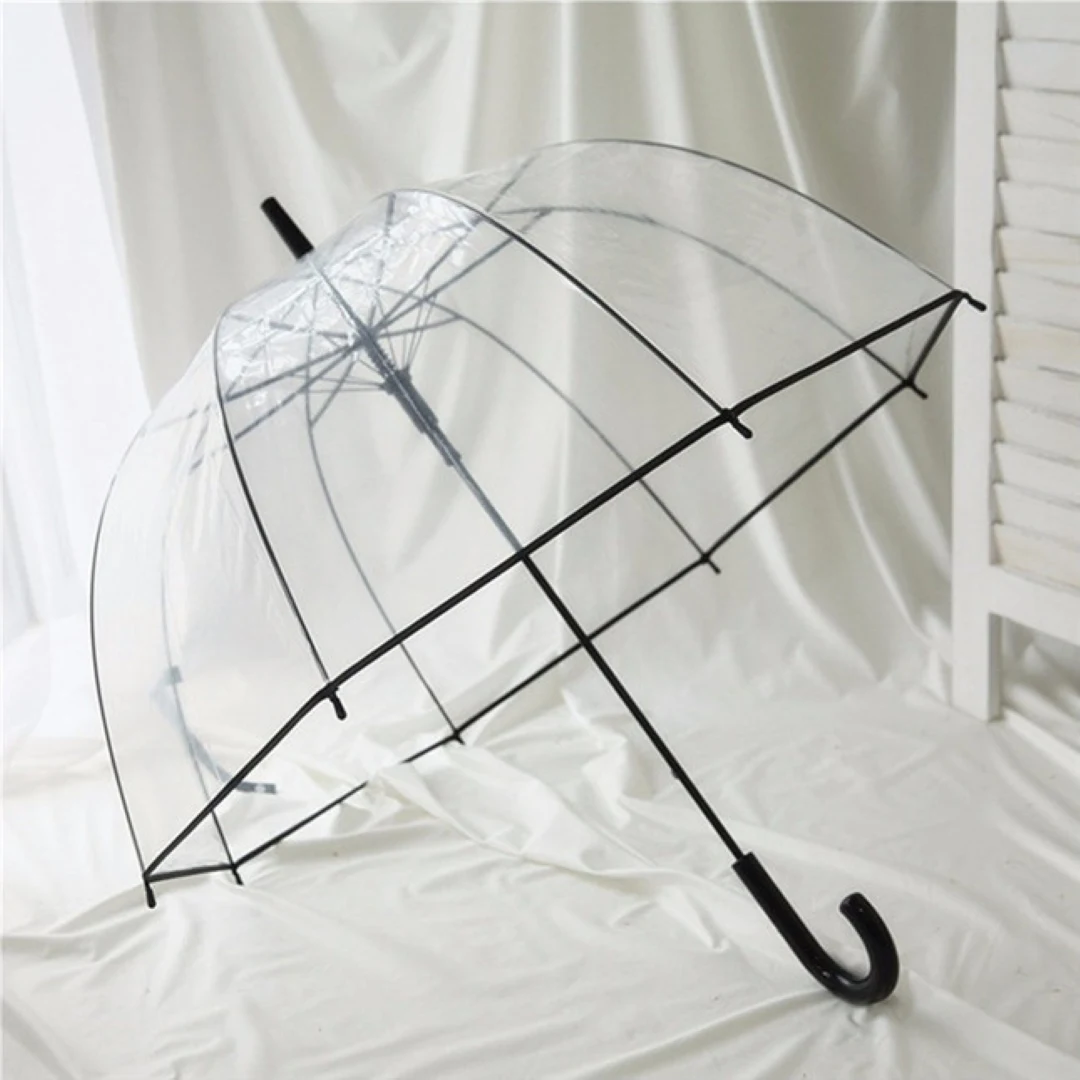 The TranWTarent Umbrella 1
