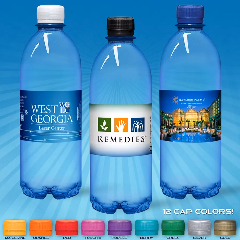 16.9oz Flat Water Bottle (Blue Tint)