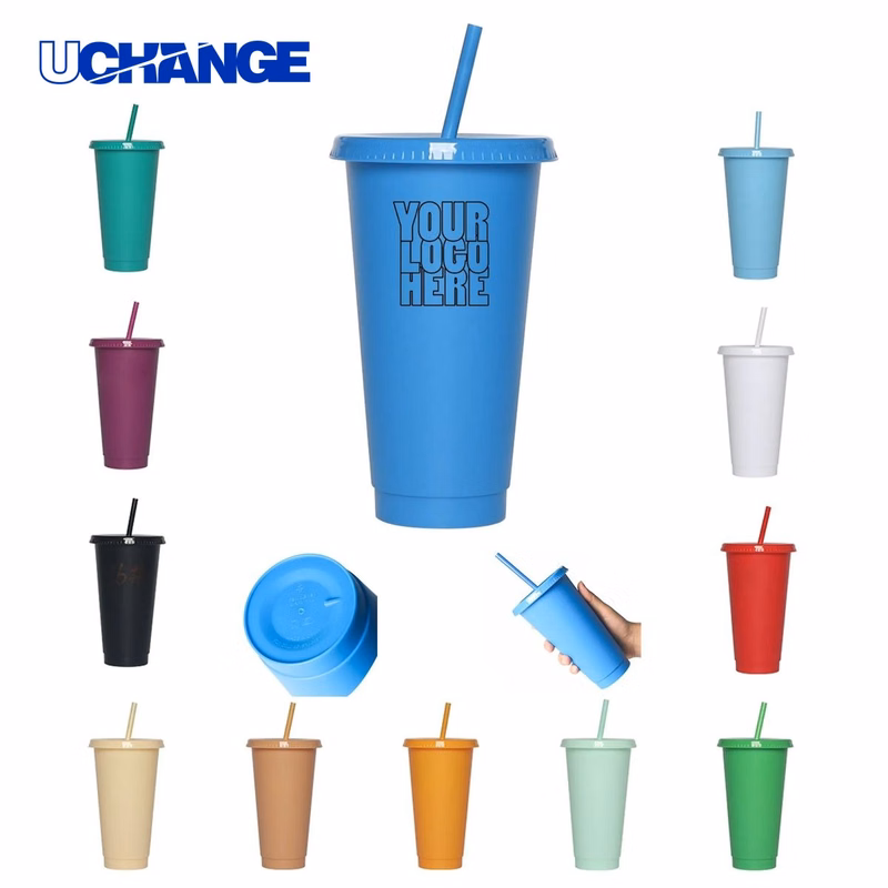 Plastic Drinking Cup Container with Lid and Straw (24 Oz)