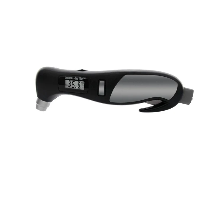 Digital Tire Gauge 1100 1