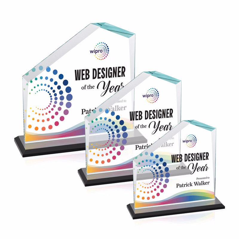 Fairmont VividPrint™ Award - Black