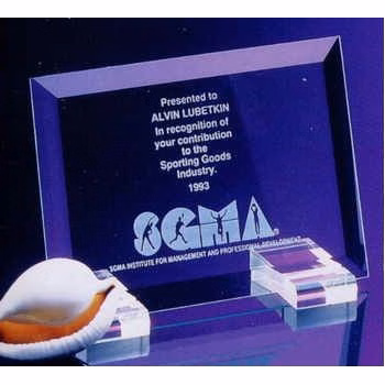 7" Rectangular Spectral Award