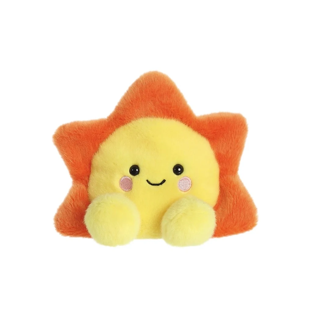 5" Bean Bag Sun 1