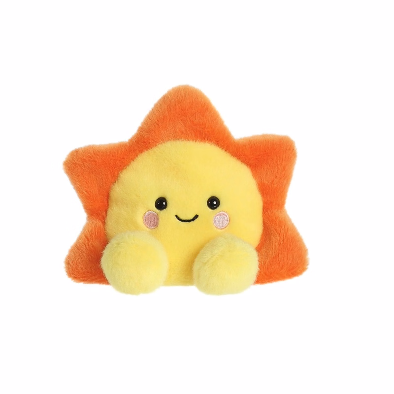 5" Bean Bag Sun
