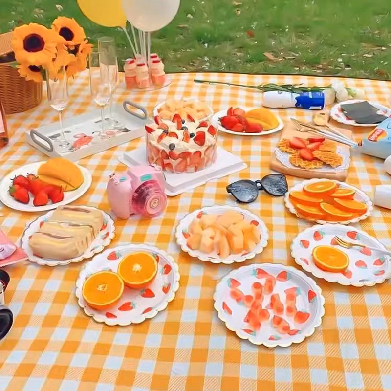 Non-Woven Outdoor Waterproof Beach Blanket