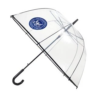42'' Arc Clear Auto Open Umbrella With Hook Handle 1