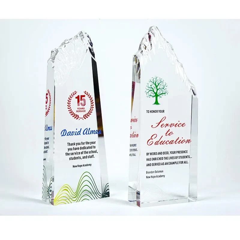 Recognition Crystal Iceberg Award 1