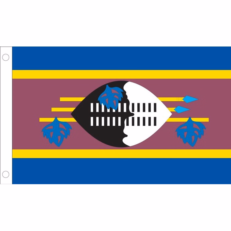 Swaziland Flag - 2' x 3' - Nylon