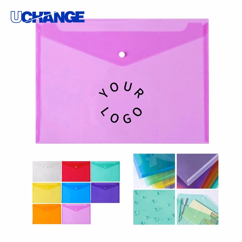 Transparent Snap Document Folder Organizer