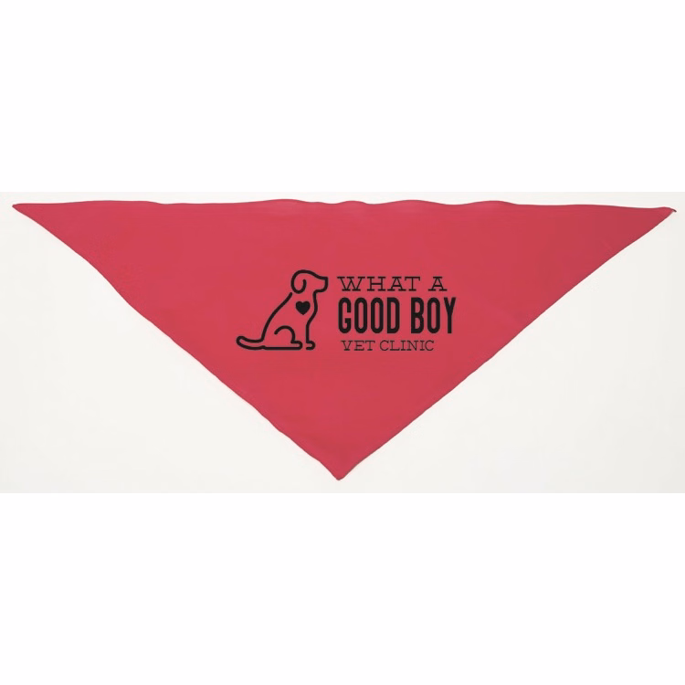 Personalized Large Hot Pink Triangle Pet Bandana