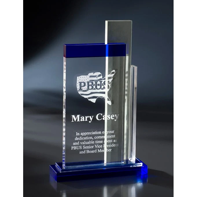 Artistic Expressions Crystal LAX Award 1