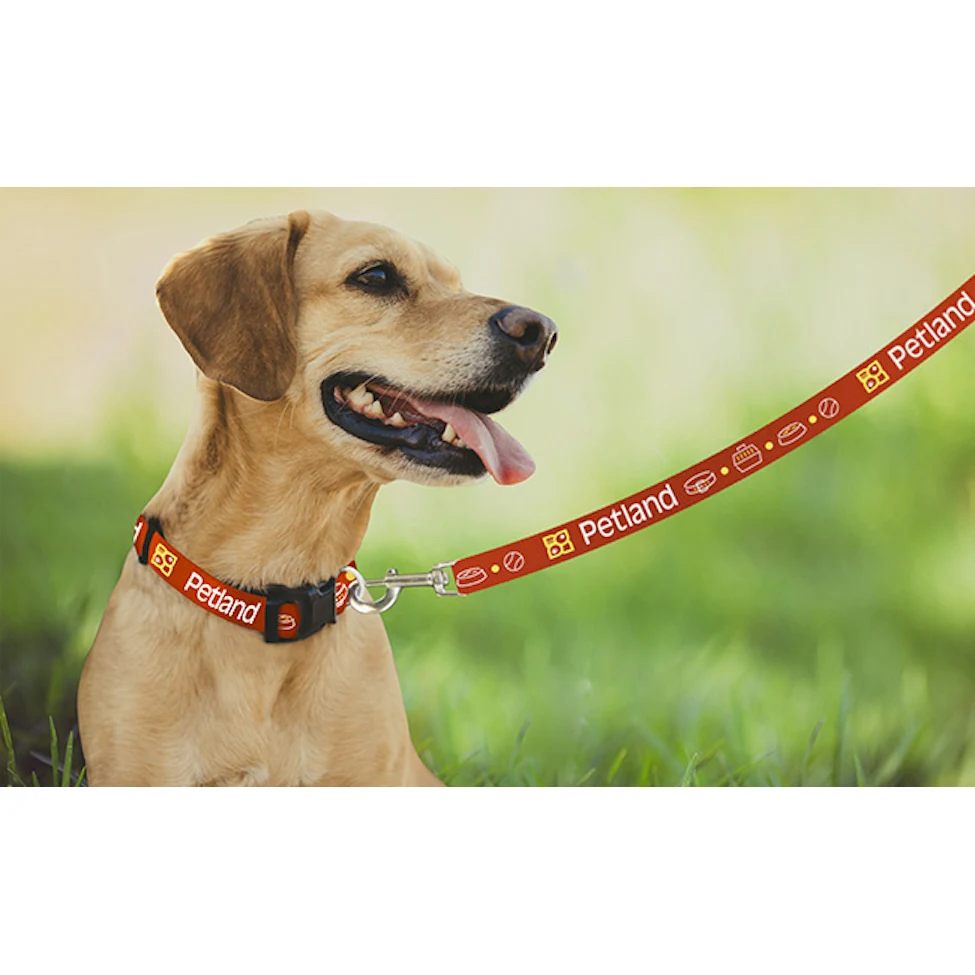 Pantone Matched Leash 1