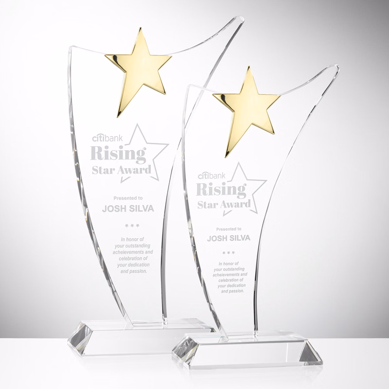 Atkinson Gold Star Award