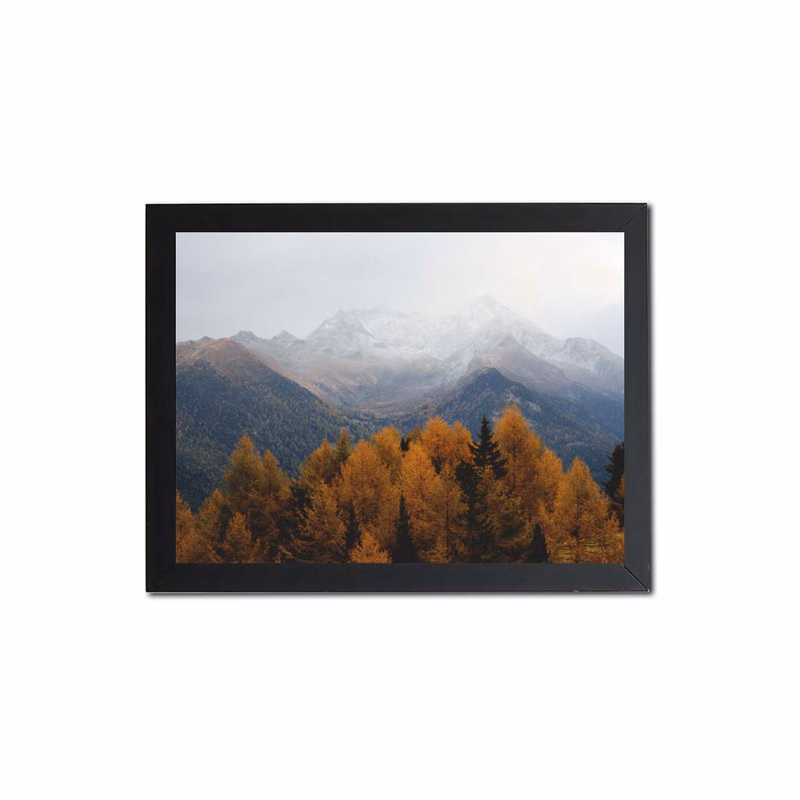 Poster Frames (1.5ft x 2ft)