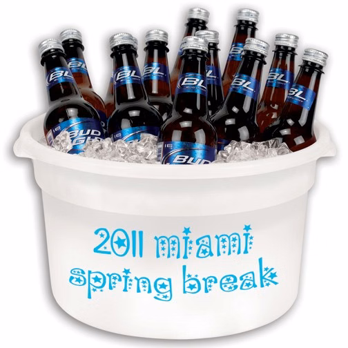 12 Bottle Plastic Party/Display Tub