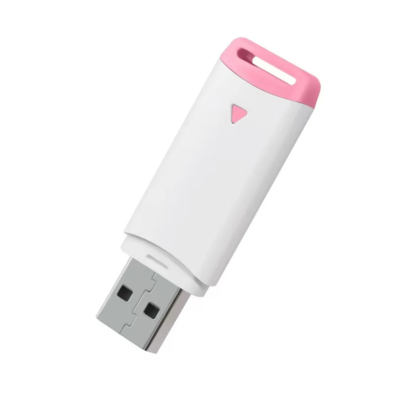 Plastic 8GB USB Flash Drive 1