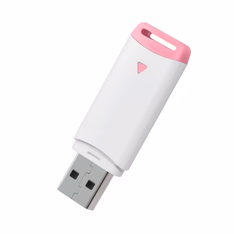 Plastic 8GB USB Flash Drive